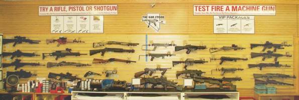 Guns at the gun store